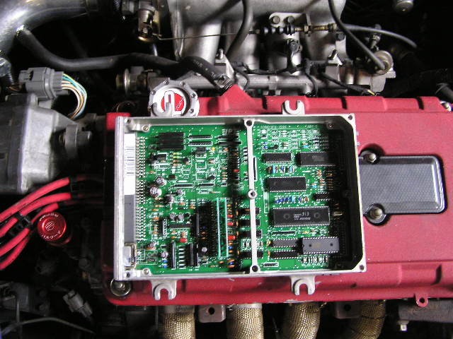 P1010022.JPG